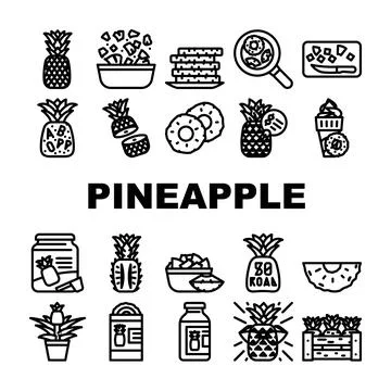 Fruit pineapple slice cut food icons set vector Stock Illustration