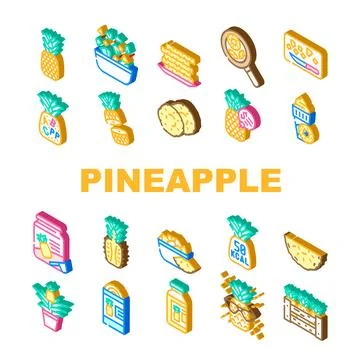 Fruit pineapple slice cut food icons set vector Stock Illustration