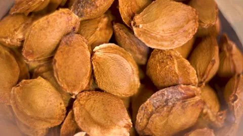 Fruit pits 4K Video stock 156530435