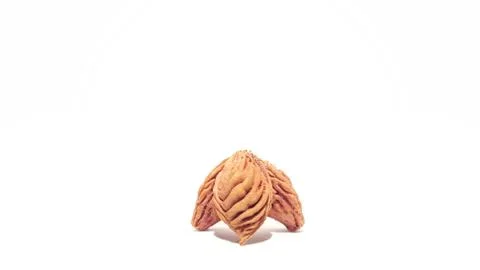 Fruit Pits on White Background Stock Photos