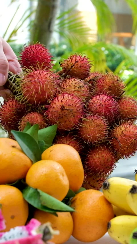 Fruit platter with dragon fruit, kiwi, pineapple, and assorted fresh tropical Stock Footage 314497604