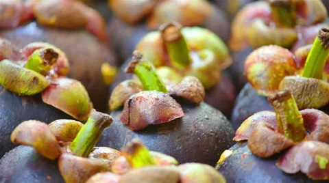Fruit on a platter rotation Stock Footage 51417021