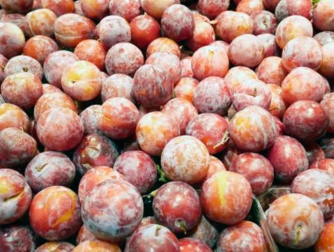 Fruit plum red Stock Photos