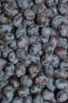 Fruit plums Stock Photos