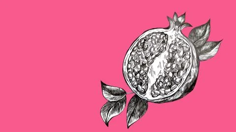 Fruit pomegranate set hand drawn illustration Stock Illustration
