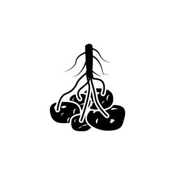The fruit of a potato icon. Elements of agricultural root crops icon. Premium Stock Illustration