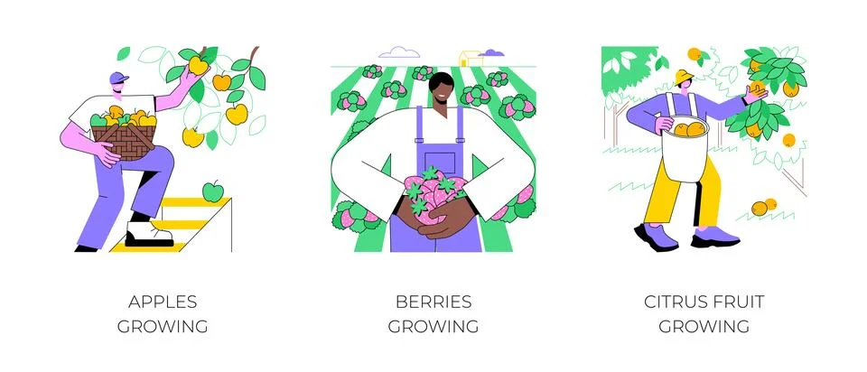 Fruit production isolated cartoon vector illustrations. Stock Illustration