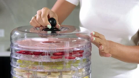 Fruit puree and fruit in dehydrator Stock Footage 222635394