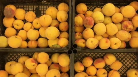 Fruit racks in the supermarket. Stock Footage 160502160