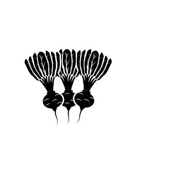 Fruit of radish icon. Elements of agricultural root crops icon. Premium quality Illustrazione stock