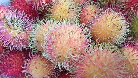 Fruit rambutan Stock Footage 211056318