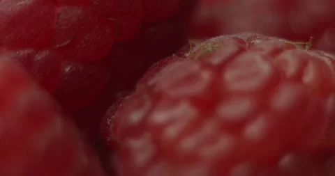 Fruit Raspberry Stock Footage 162422834