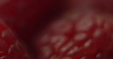 Fruit Raspberry Stock Footage 162422835