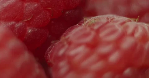 Fruit Raspberry Stock Footage 162422956