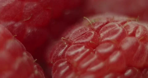Fruit Raspberry Stock Footage 162422980
