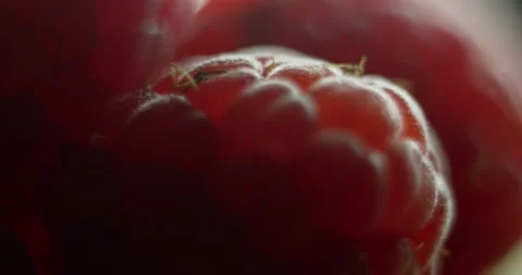 Fruit Raspberry Stock Footage 162422990