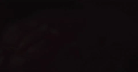 Fruit Raspberry Stock Footage 162423086