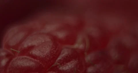 Fruit Raspberry Stock Footage 162423088