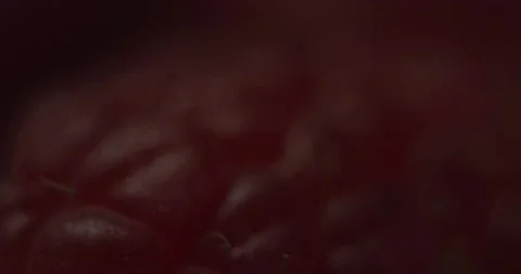 Fruit Raspberry Stock Footage 162423110