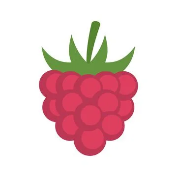 Fruit raspberry icon flat isolated vector Stockillustratie