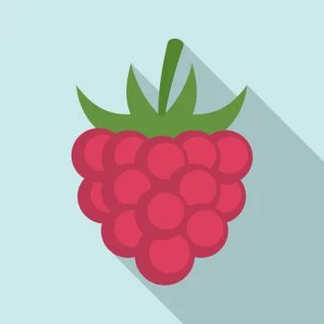 Fruit raspberry icon, flat style Illustrazione stock
