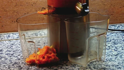 Fruit remains dropping into plastic can during process of making fresh juice Vidéo 141160364