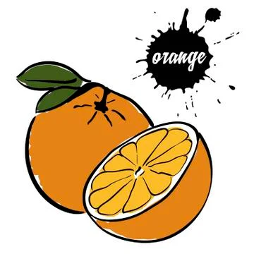 Fruit ripe orange Stock Illustration
