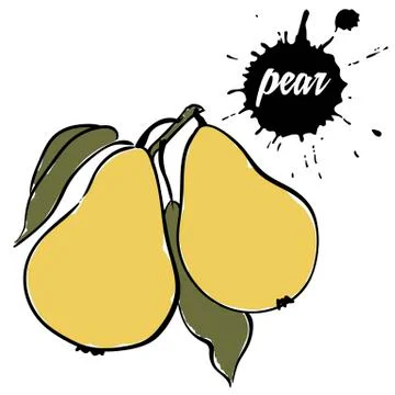 Fruit ripe pear Stock Illustration