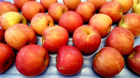 Fruit sample at food exhibition Stock Photos