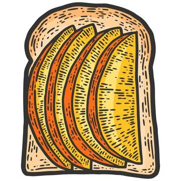 Fruit sandwich. Sketch scratch board imitation. Color picture vector. Stock Illustration