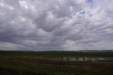 Fruit Saplings / Fruit trees Stock Photos