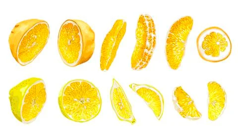 Fruit set with lemon and orange in halves and slices Stock Illustration