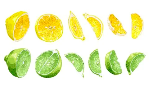 Fruit set with lime and lemon in halves and slices Stock Illustration
