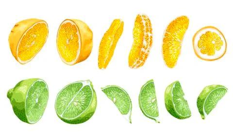 Fruit set with lime and orange in halves and slices Stock Illustration