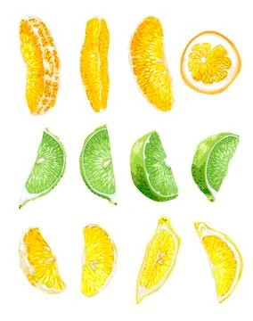 Fruit set with lime, orange and lemon slices Stock Illustration