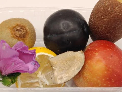 Fruit set Stock Photos