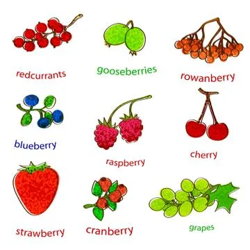 Fruit set with texture Stock Illustration