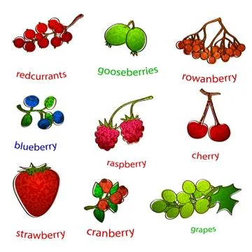 Fruit set with texture Illustrazione stock