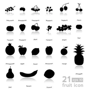 Fruit set vector Stock Illustration