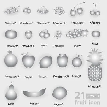 Fruit set vector Stock Illustration