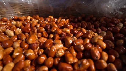 Fruit Silverberry Stock Footage 104898839