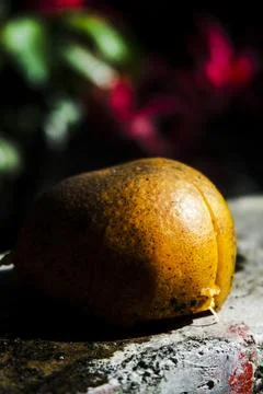 A fruit sitting on a rock Stock Photos