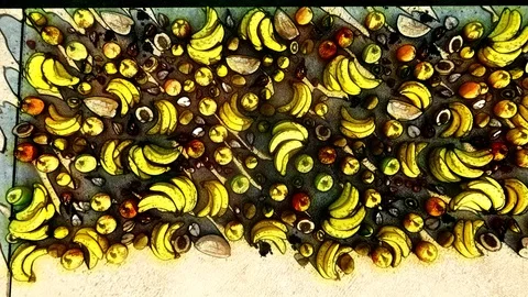 Fruit sketch 01 Stock Footage 122818397