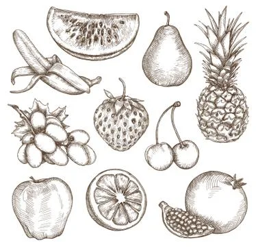 Fruit, sketches, hand drawing, vector set Stock Illustration