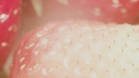 Fruit skins background macro view. Nature abstract arts. Stock Footage 76448226