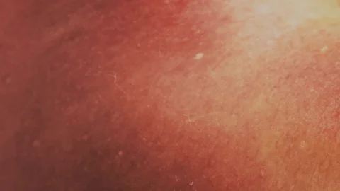 Fruit skins background macro view. Nature abstract arts. Stock Footage 76448229