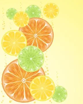 Fruit slices Stock Illustration