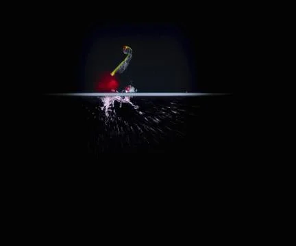 Fruit Splashing into water. Stock Photos