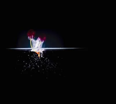 Fruit Splashing into water. Stock Photos
