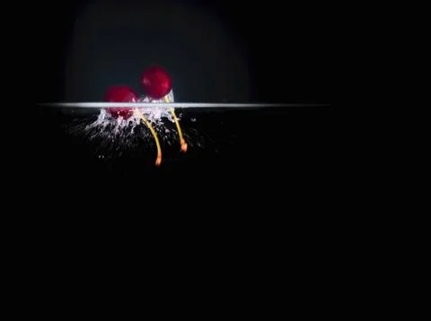 Fruit Splashing into water. Stock Photos